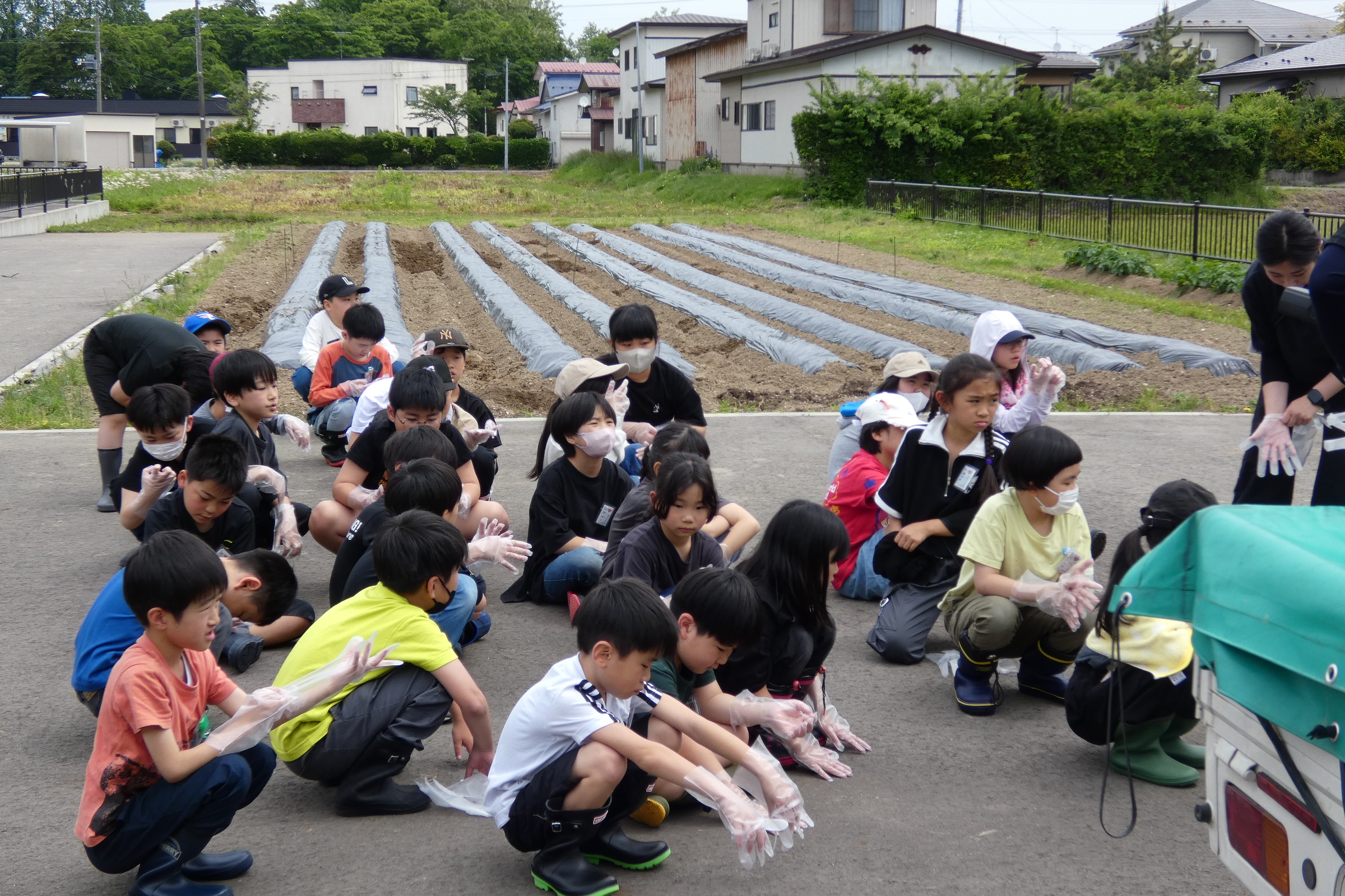 6月3日(火) ３年生が枝豆の種植えを行いました。 のサムネイル画像