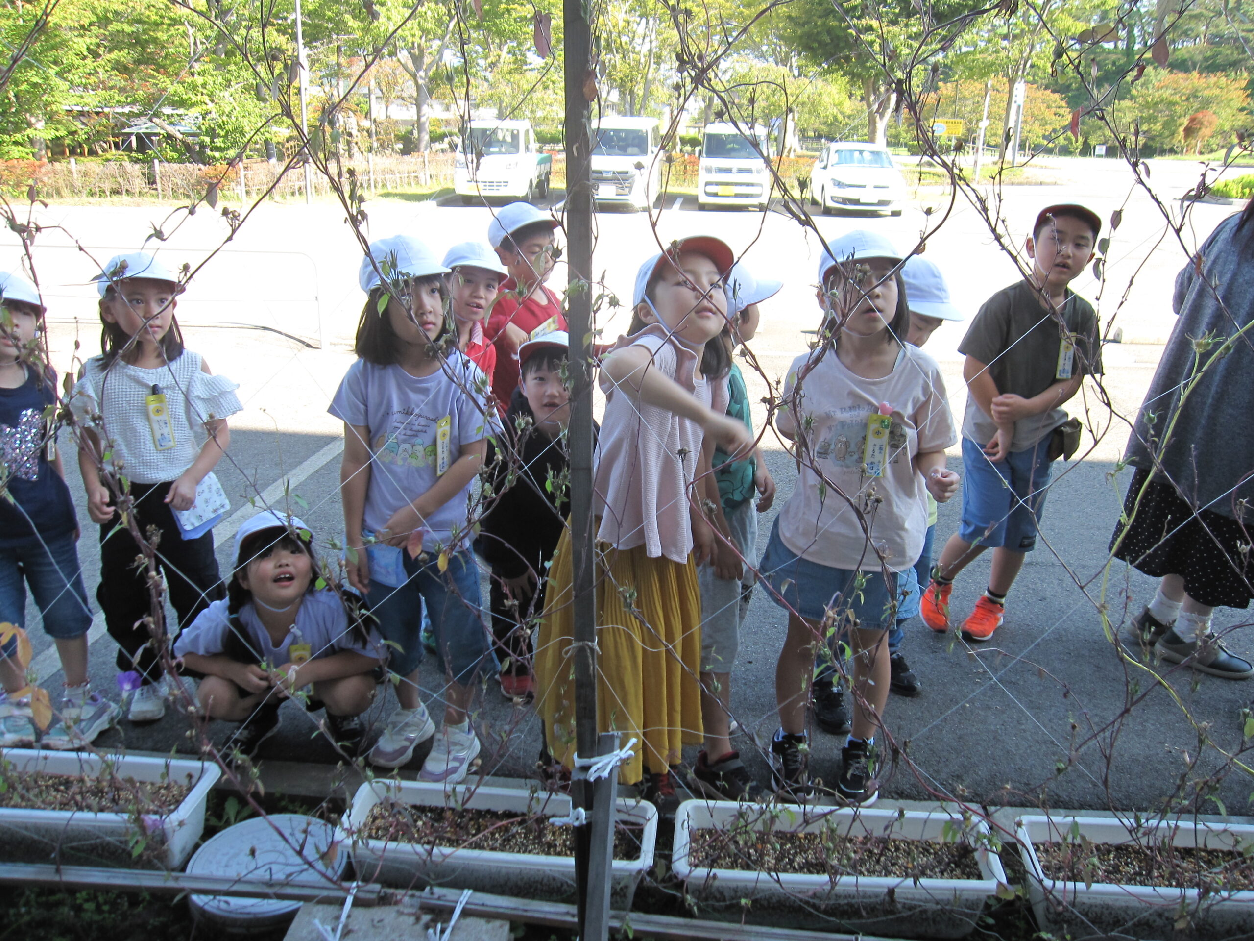 10月3日　5校時の様子 のサムネイル画像