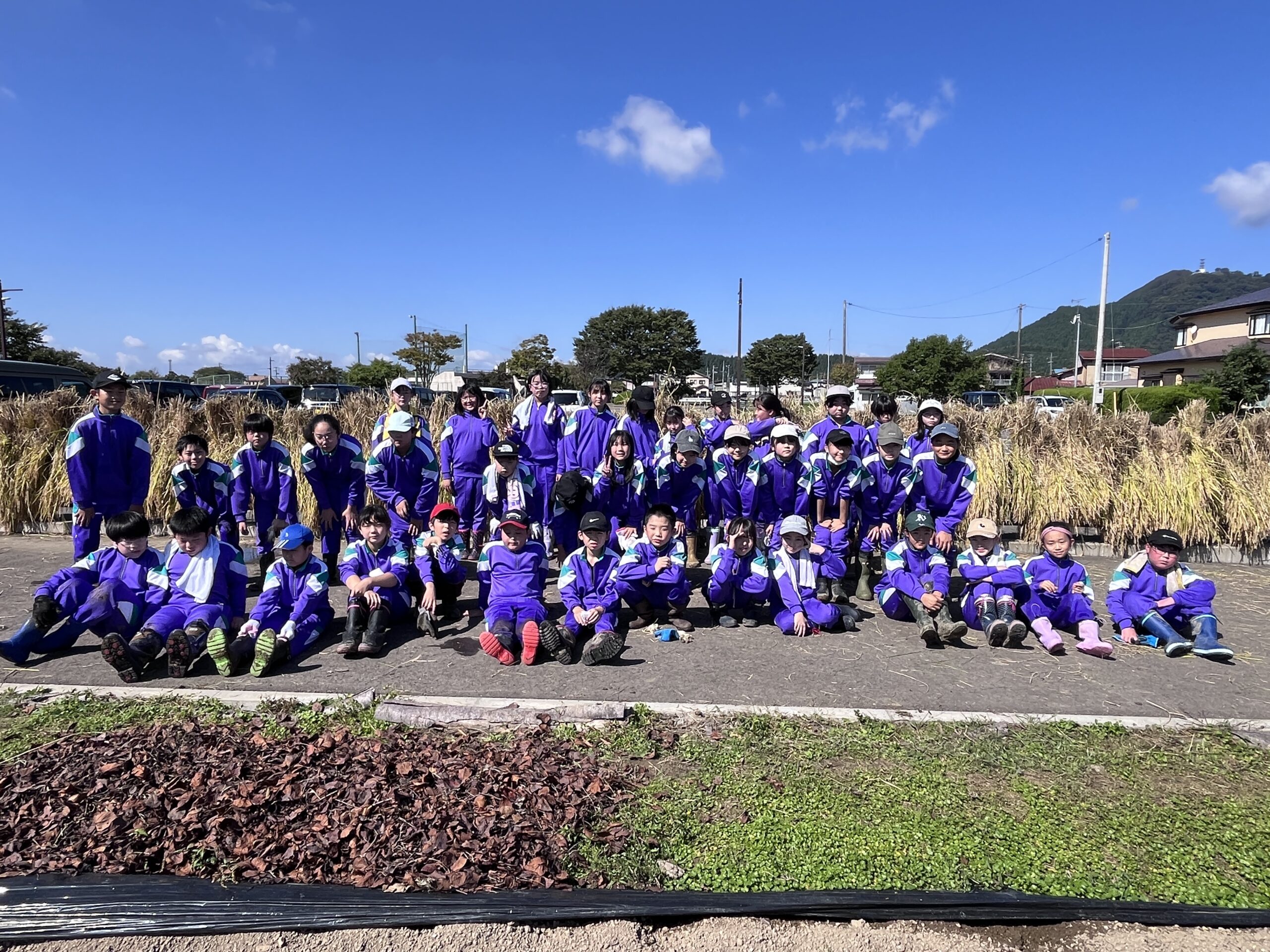 10月3日　稲刈り体験をしました（5年生） のサムネイル画像