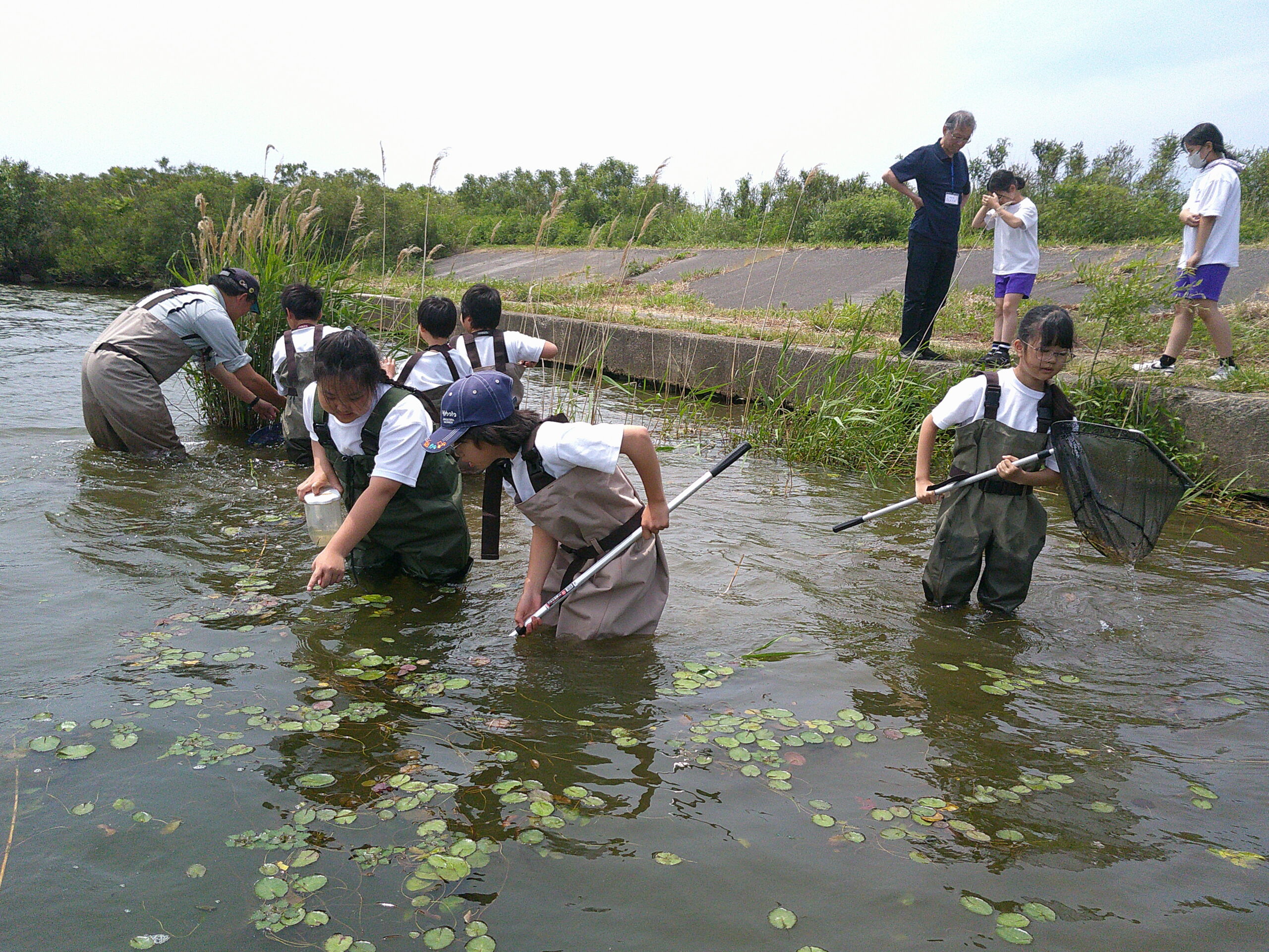 ６月12日 ４年生校外学習 のサムネイル画像