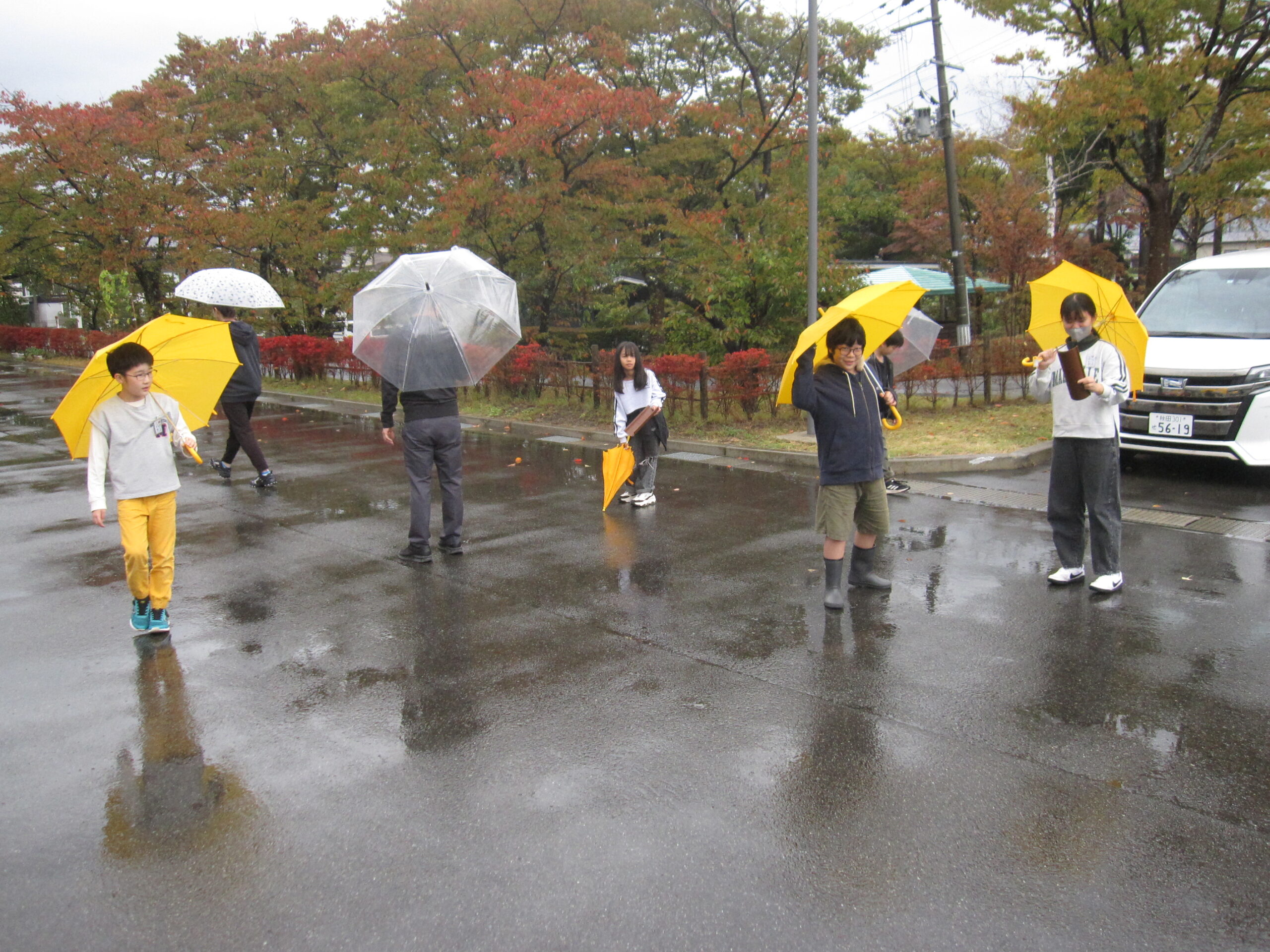 10月16日 理科の学習で雨の中、外に出ました のサムネイル画像